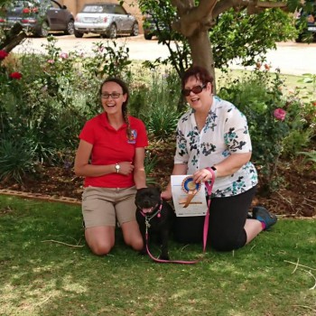 48084635_2245789725708880_1284806945106034688_o