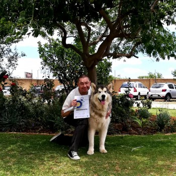 48228899_2245799065707946_2082617809195499520_n