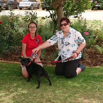 57190359_2327470630874122_4096384419302998016_o