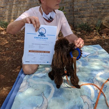 PXL_20201025_081017617