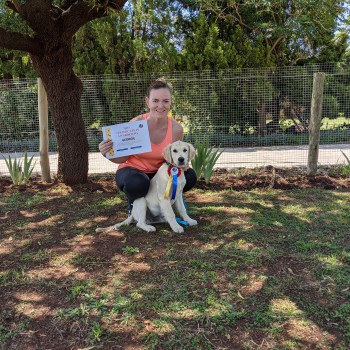 PXL_20201114_082958267